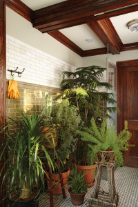 img_2015-09_Over-Winter_Plants_Plant-Room_Tight_Interior_G