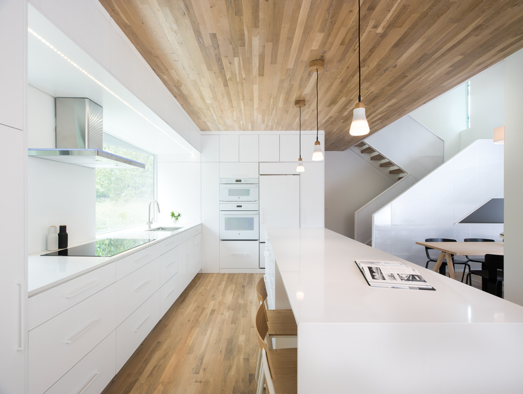 Nordic Light house, John Dwyer, AIA Minnesota Honor Award