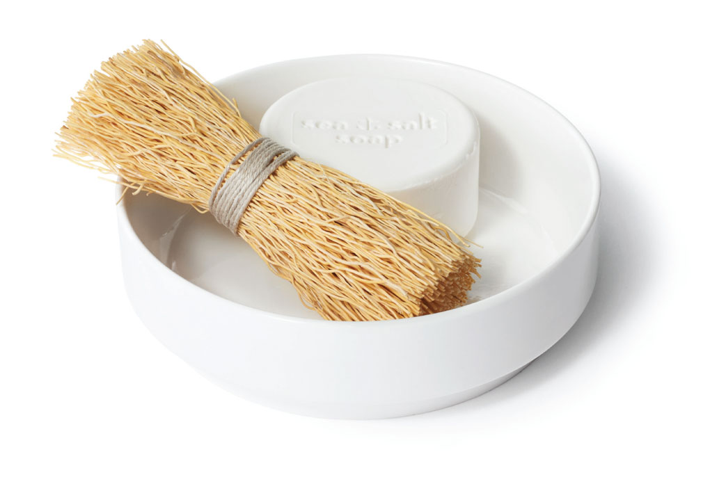 plate and scrubber