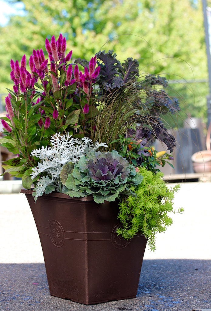 Fall pots
