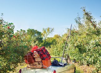 Get the Look: Fall Picnic Road Trip Fall-Picnic-Car