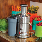 Create the Perfect Juice—Get the Look Breville-Juicer_G