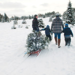 St. Croix Valley Trees is a Winter Wonderland St-Croix-Valley-Trees_Sled-Family_G