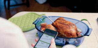 DIY Tech Upgrades iphone-meat-thermometer
