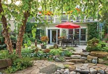 Getting Our Feet Wet: Planting Zones Back-Garden-Pond-Patio