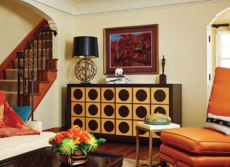 Twist Interior Design Brings Color to a Cedar-Isles-Dean Home Living-Room-Interior