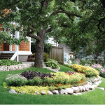 An Annual Redesign Transforms Minneapolis Garden Front-yard-plants