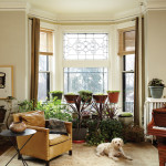 Salvage Summer Plants for Indoor Décor This Winter