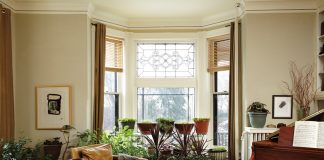 Salvage Summer Plants for Indoor Décor This Winter