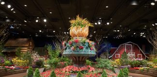 Macy’s Flower Show Blooms with All-American Splendor MINNEAPOLIS, MN - MARCH 20: Macy's Flowershow on March 20, 2016 in Minneapolis, Minnesota. (Photo by: Adam Bettcher for Macy's)