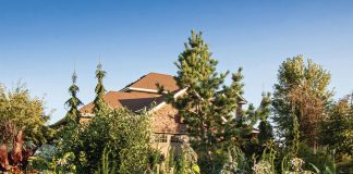 Annuals, Trees, and other plants surround Engelmann's home