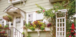 A Traffic-Stopping Boulevard Pollinator-attracting blossoms fill the front yard
