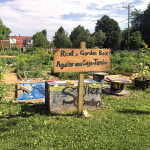 Garden-in-a-Box Supports Community Gardens Garden in a Box Community Garden