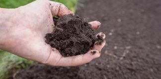 Determining Your Soil Type