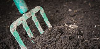 Fertilizer to the Rescue