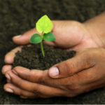 The Scoop on Soil