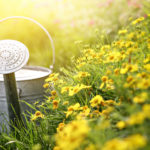 Watering Your Garden
