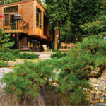 The Japanese Way Pine tree in front of deck and patio
