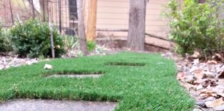 Should You Consider Fake Grass? artificial grass