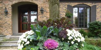 Ideas for Your Fall Pots Fall pots