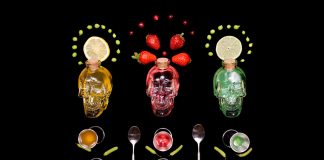 5 Ideas for Halloween Barware halloween barware