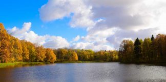 Sunfish Lake—Private and Pastoral A small lake in autumn on a partly cloudy day.