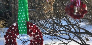 Holiday Ornaments For The Birds Holiday ornaments for the birds.