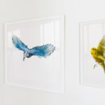 Wild Birds Flying Wild Birds Flying framed