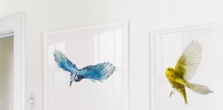 Wild Birds Flying framed
