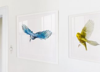 Wild Birds Flying framed
