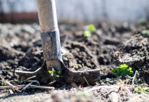 Spring Planting 101: How to Start Your Garden Shovel breaking ground in soil