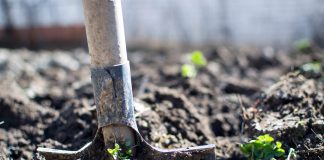 Spring Planting 101: How to Start Your Garden Shovel breaking ground in soil