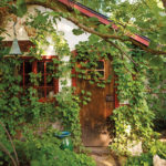A Leafy Hideaway A garden shed with creamy stucco and red shingles is covered in lush, green ivy.