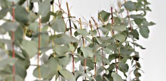 Ten Great Garlands Creative Holiday Garland