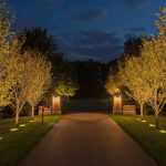 Tips from Erickson Outdoor Lighting on Brightening Your Home’s Exterior A walkway lined with trees and lights lit up at night by Erickson Outdoor Lighting.