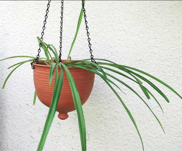 terracotta hanging planter