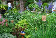 Sales + Events: July 24-29 has art festivals, garden extravaganzas, and hand-thrown pottery