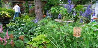 Sales + Events: July 24-29 has art festivals, garden extravaganzas, and hand-thrown pottery