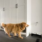A dog next to a built-in faucet allows for quick and easy refills.