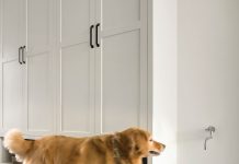 Dog-Friendly Design Trends A dog next to a built-in faucet allows for quick and easy refills.
