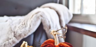 Plush Pumpkin Offers Perfect Seasonal Centerpieces