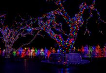 Sales + Events: Dec. 18-23 features last-minute markets, a solstice celebration, and a winter light display Christmas lights on trees
