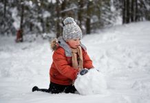 Sales + Events: Jan. 21-27 features art galleries, exhibitions, and the St. Paul Winter Carnival