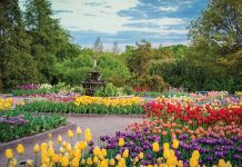 Garden Trend: Flower Power