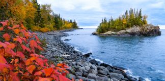 Edina Fall into the Arts Festival Welcomes Photographer Josh Driver