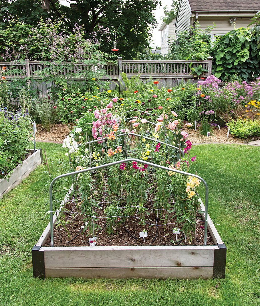 Raised flower beds for A Pretty Posy's owner Susan Hopp. Photo by Tracy Walsh.