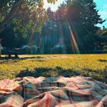A picnic blanket spread outdoors