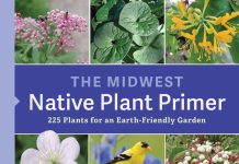 Get to Know Your Native Plants