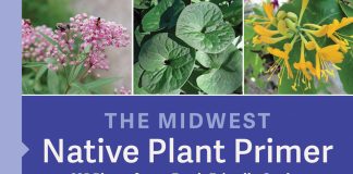 Get to Know Your Native Plants