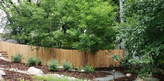 Embrace Your Outdoor Living Space with Trio Landscaping A backyard landscaped by Trio Landscaping